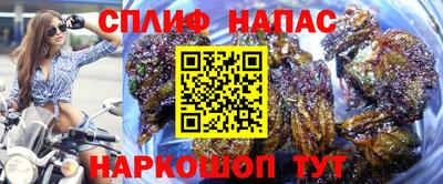 метадон Новозыбков