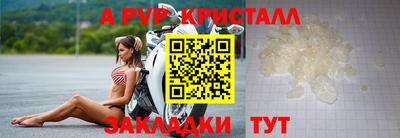 МДПВ Новодвинск