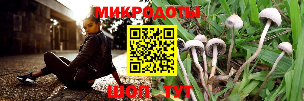 Павлово  Псилоцибиновые грибы GOLDEN TEACHER  Галлюциногенные грибы мицелий  Вход с VPN 